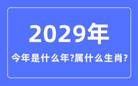 2006年是什麼年|2006年是什么年